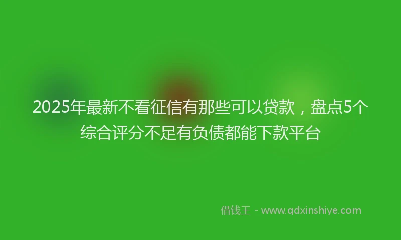 2025年最新不看征信有那些可以贷款，盘点5个综合评分不足有负债都能下款平台