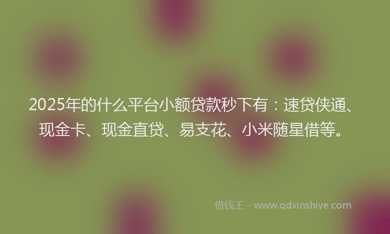 2025年的什么平台小额贷款秒下有：速贷侠通、现金卡、现金直贷、易支花、小米随星借等。