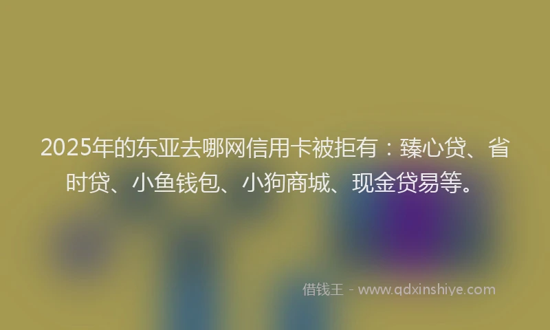 2025年的东亚去哪网信用卡被拒有：臻心贷、省时贷、小鱼钱包、小狗商城、现金贷易等。
