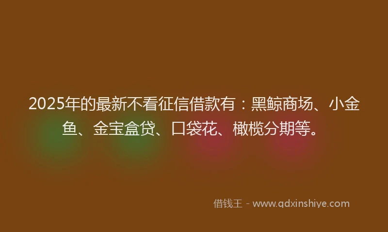 2025年的最新不看征信借款有：黑鲸商场、小金鱼、金宝盒贷、口袋花、橄榄分期等。