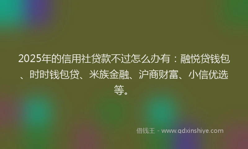 2025年的信用社贷款不过怎么办有：融悦贷钱包、时时钱包贷、米族金融、沪商财富、小信优选等。