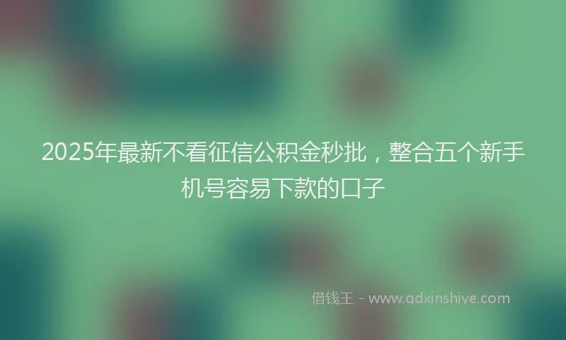 2025年最新不看征信公积金秒批，整合五个新手机号容易下款的口子