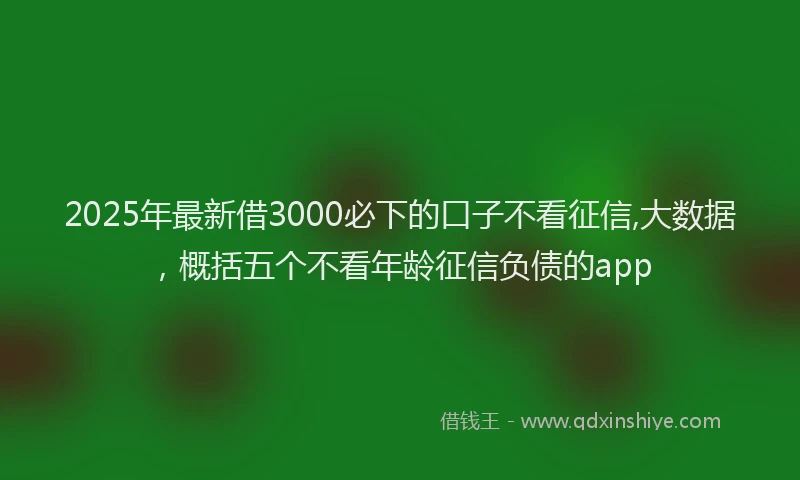2025年最新借3000必下的口子不看征信,大数据，概括五个不看年龄征信负债的app