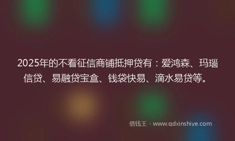 2025年的不看征信商铺抵押贷有：爱鸿森、玛瑙信贷、易融贷宝盒、钱袋快易、滴水易贷等。