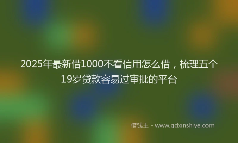 2025年最新借1000不看信用怎么借，梳理五个19岁贷款容易过审批的平台