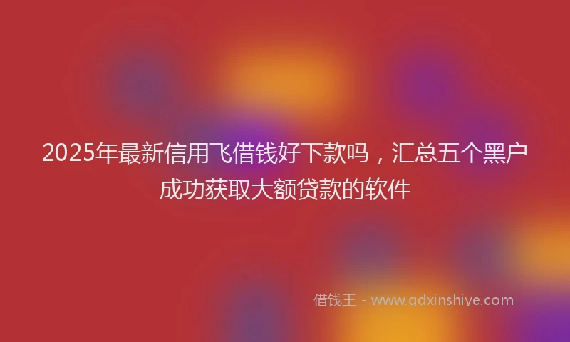 2025年最新信用飞借钱好下款吗，汇总五个黑户成功获取大额贷款的软件