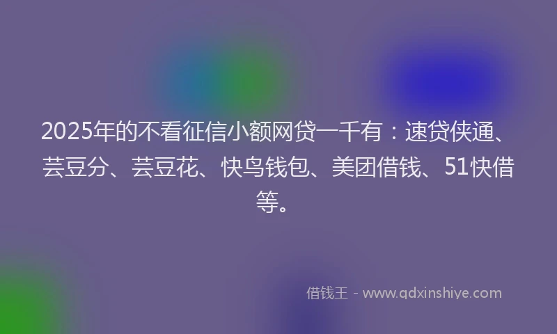 2025年的不看征信小额网贷一千有：速贷侠通、芸豆分、芸豆花、快鸟钱包、美团借钱、51快借等。