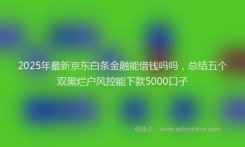2025年最新京东白条金融能借钱吗吗，总结五个双黑烂户风控能下款5000口子