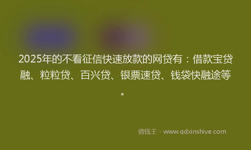 2025年的不看征信快速放款的网贷有：借款宝贷融、粒粒贷、百兴贷、银票速贷、钱袋快融途等。