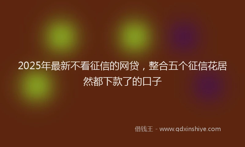 2025年最新不看征信的网贷，整合五个征信花居然都下款了的口子