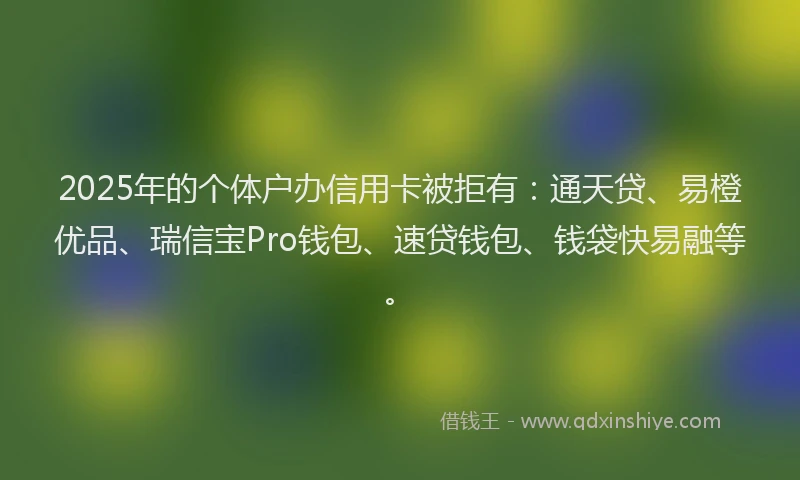 2025年的个体户办信用卡被拒有：通天贷、易橙优品、瑞信宝Pro钱包、速贷钱包、钱袋快易融等。