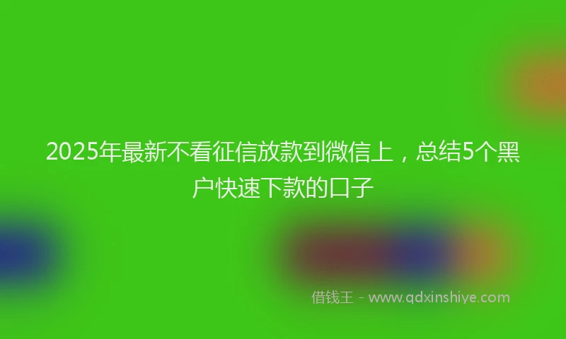 2025年最新不看征信放款到微信上，总结5个黑户快速下款的口子