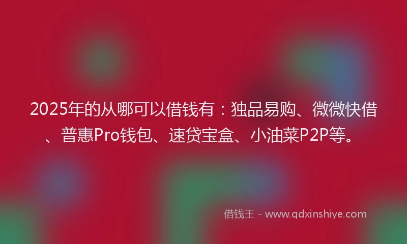 2025年的从哪可以借钱有：独品易购、微微快借、普惠Pro钱包、速贷宝盒、小油菜P2P等。