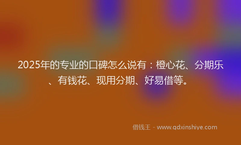 2025年的专业的口碑怎么说有：橙心花、分期乐、有钱花、现用分期、好易借等。