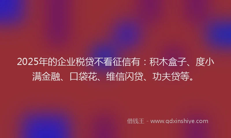 2025年的企业税贷不看征信有：积木盒子、度小满金融、口袋花、维信闪贷、功夫贷等。