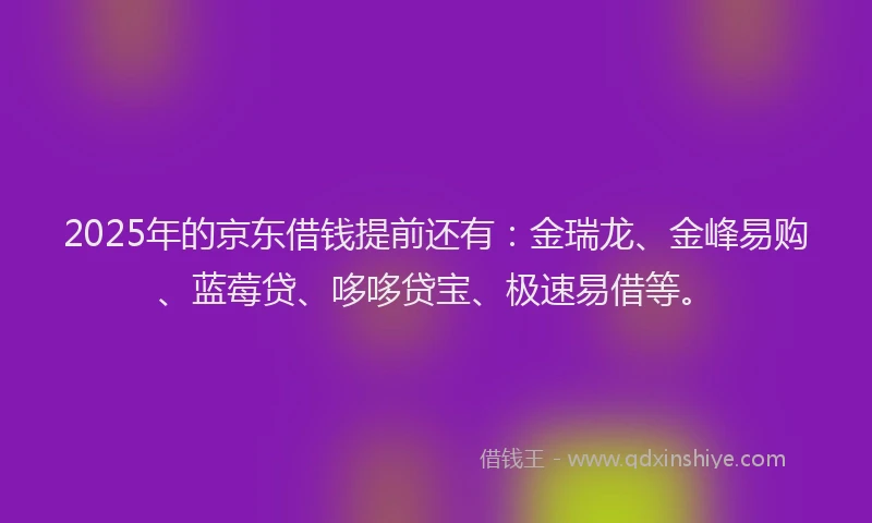2025年的京东借钱提前还有：金瑞龙、金峰易购、蓝莓贷、哆哆贷宝、极速易借等。