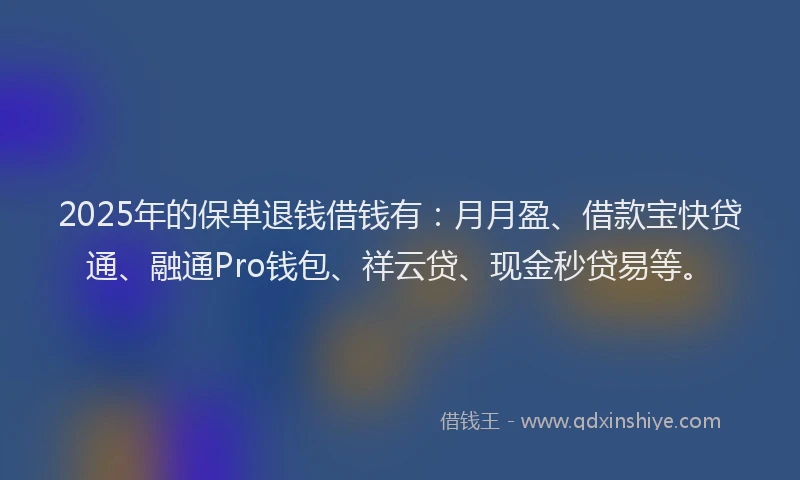 2025年的保单退钱借钱有：月月盈、借款宝快贷通、融通Pro钱包、祥云贷、现金秒贷易等。