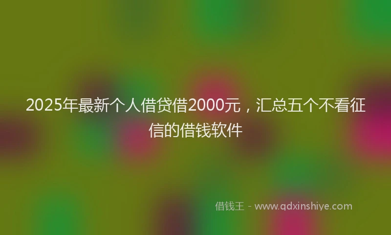 2025年最新个人借贷借2000元，汇总五个不看征信的借钱软件