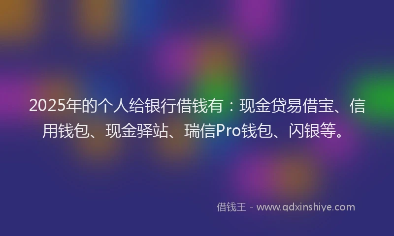 2025年的个人给银行借钱有：现金贷易借宝、信用钱包、现金驿站、瑞信Pro钱包、闪银等。