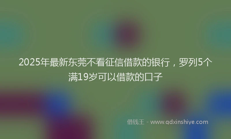 2025年最新东莞不看征信借款的银行，罗列5个满19岁可以借款的口子