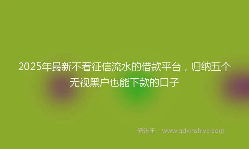 2025年最新不看征信流水的借款平台，归纳五个无视黑户也能下款的口子