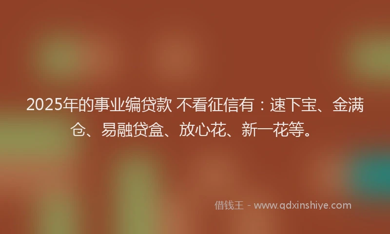 2025年的事业编贷款 不看征信有：速下宝、金满仓、易融贷盒、放心花、新一花等。