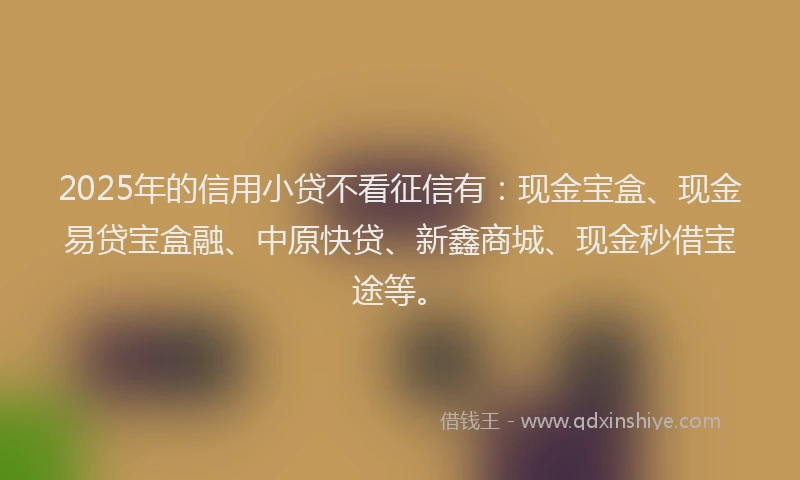 2025年的信用小贷不看征信有：现金宝盒、现金易贷宝盒融、中原快贷、新鑫商城、现金秒借宝途等。