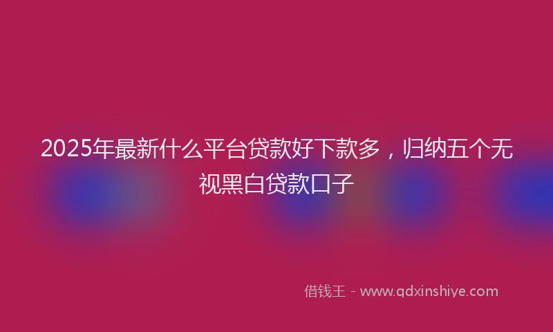 2025年最新什么平台贷款好下款多，归纳五个无视黑白贷款口子