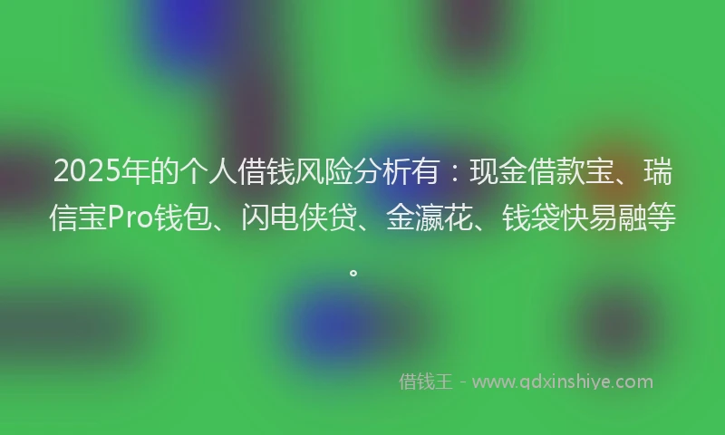 2025年的个人借钱风险分析有：现金借款宝、瑞信宝Pro钱包、闪电侠贷、金瀛花、钱袋快易融等。