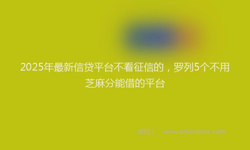 2025年最新信贷平台不看征信的，罗列5个不用芝麻分能借的平台