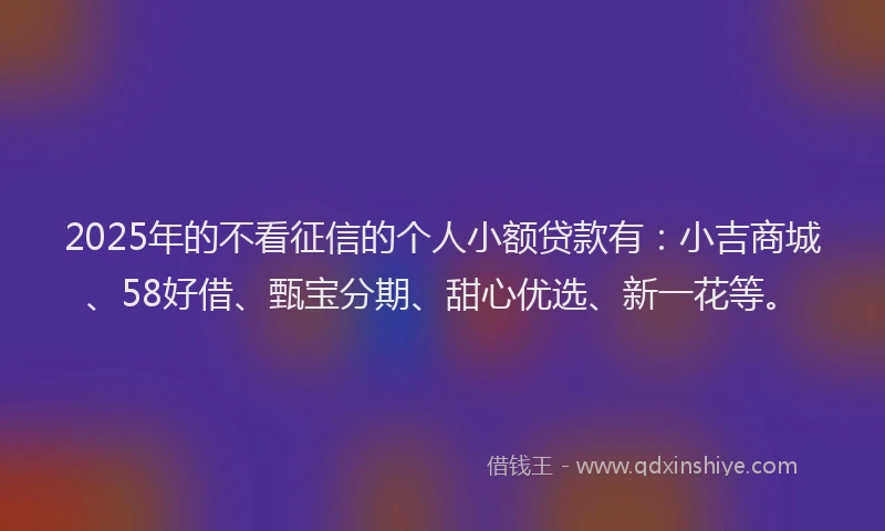 2025年的不看征信的个人小额贷款有：小吉商城、58好借、甄宝分期、甜心优选、新一花等。