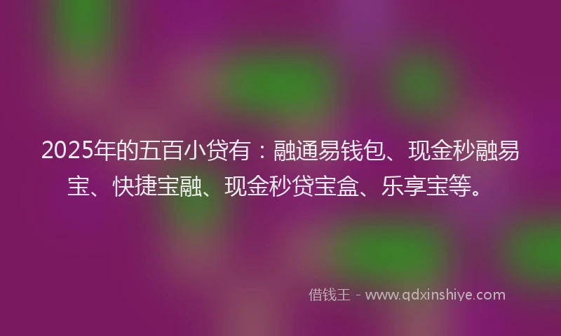 2025年的五百小贷有：融通易钱包、现金秒融易宝、快捷宝融、现金秒贷宝盒、乐享宝等。
