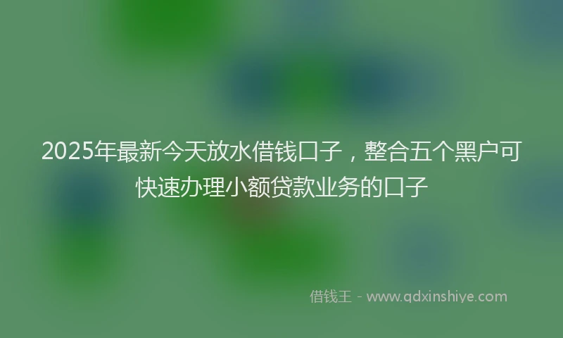 2025年最新今天放水借钱口子，整合五个黑户可快速办理小额贷款业务的口子