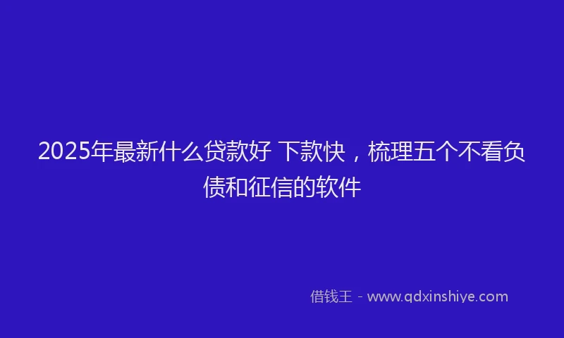 2025年最新什么贷款好 下款快，梳理五个不看负债和征信的软件