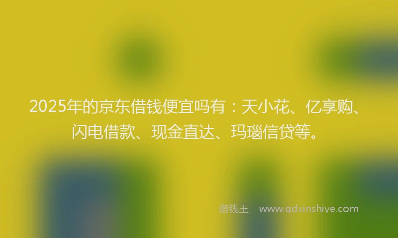 2025年的京东借钱便宜吗有：天小花、亿享购、闪电借款、现金直达、玛瑙信贷等。