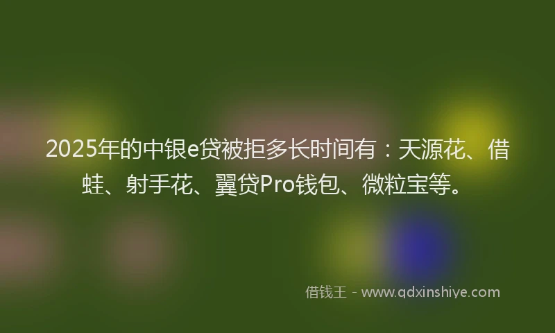 2025年的中银e贷被拒多长时间有：天源花、借蛙、射手花、翼贷Pro钱包、微粒宝等。