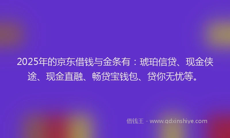 2025年的京东借钱与金条有：琥珀信贷、现金侠途、现金直融、畅贷宝钱包、贷你无忧等。