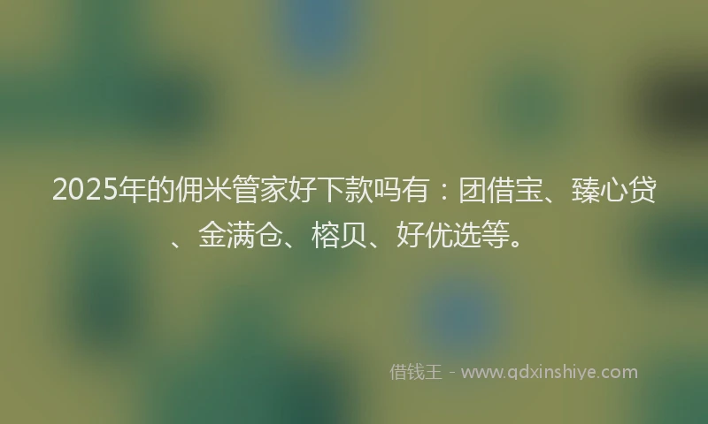 2025年的佣米管家好下款吗有：团借宝、臻心贷、金满仓、榕贝、好优选等。