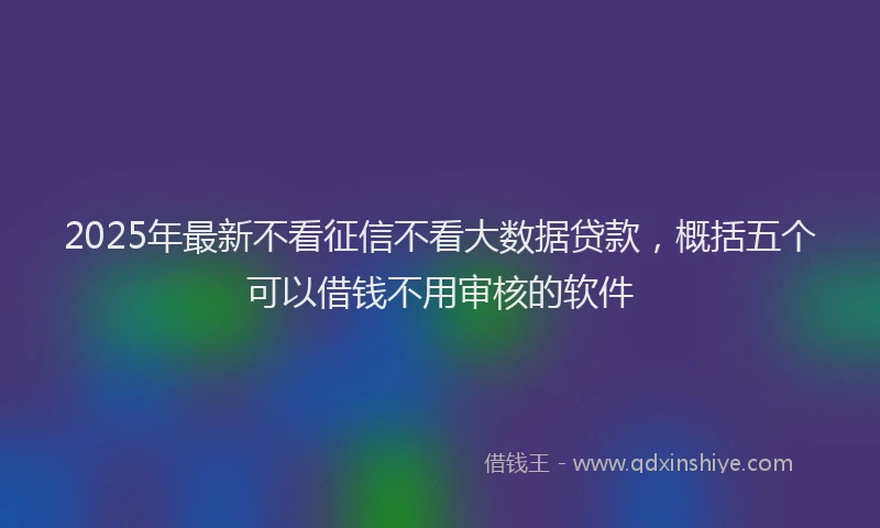 2025年最新不看征信不看大数据贷款，概括五个可以借钱不用审核的软件
