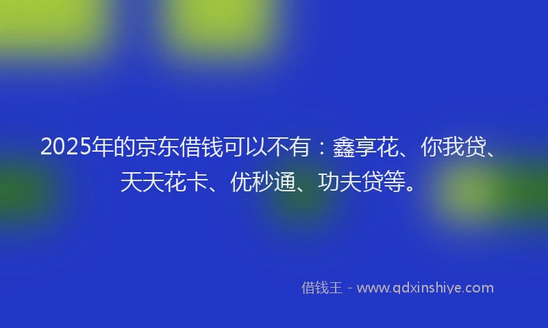 2025年的京东借钱可以不有：鑫享花、你我贷、天天花卡、优秒通、功夫贷等。
