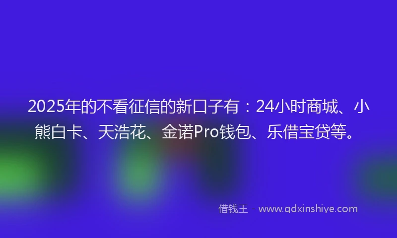 2025年的不看征信的新口子有：24小时商城、小熊白卡、天浩花、金诺Pro钱包、乐借宝贷等。