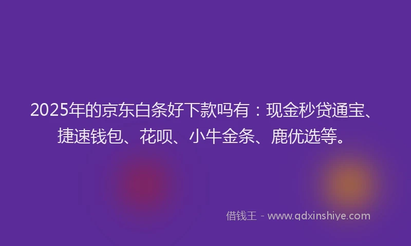 2025年的京东白条好下款吗有：现金秒贷通宝、捷速钱包、花呗、小牛金条、鹿优选等。