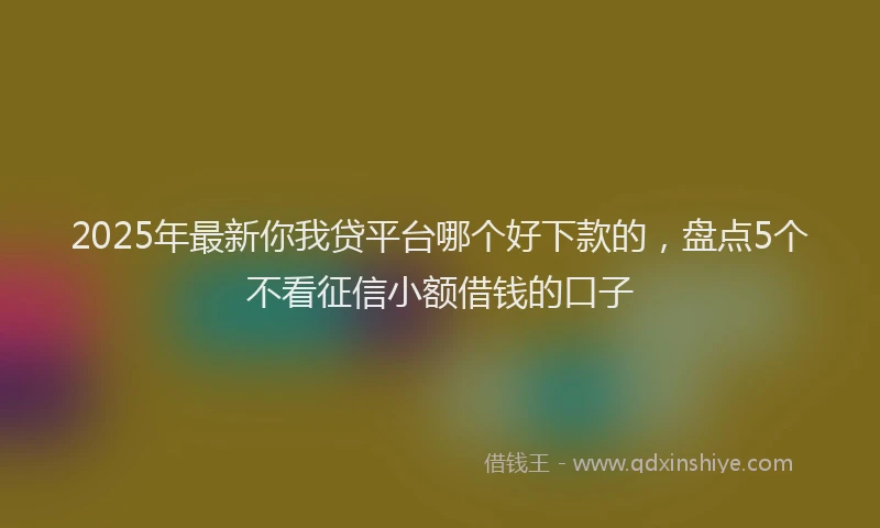 2025年最新你我贷平台哪个好下款的，盘点5个不看征信小额借钱的口子