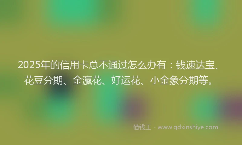2025年的信用卡总不通过怎么办有：钱速达宝、花豆分期、金瀛花、好运花、小金象分期等。