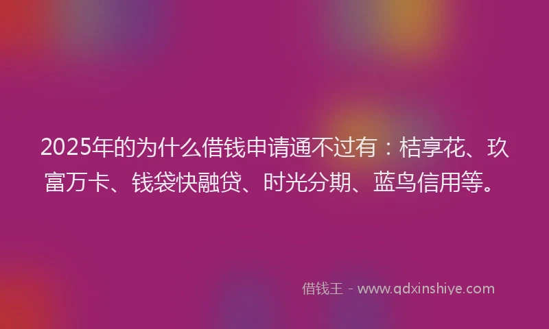 2025年的为什么借钱申请通不过有：桔享花、玖富万卡、钱袋快融贷、时光分期、蓝鸟信用等。