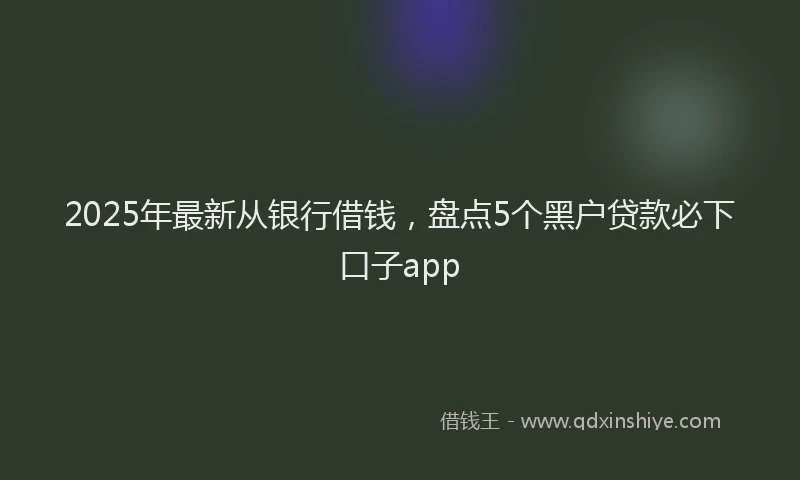 2025年最新从银行借钱，盘点5个黑户贷款必下口子app