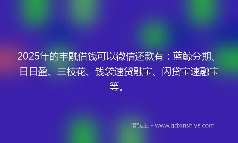 2025年的丰融借钱可以微信还款有：蓝鲸分期、日日盈、三枝花、钱袋速贷融宝、闪贷宝速融宝等。
