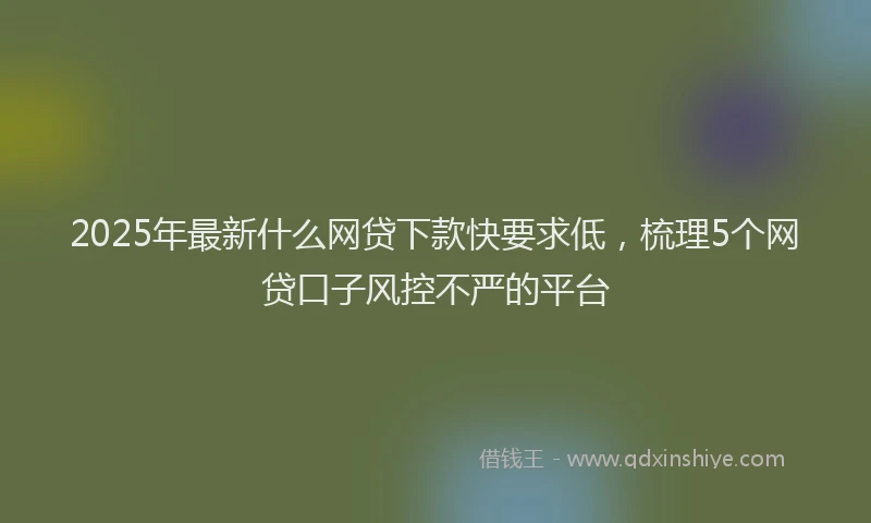 2025年最新什么网贷下款快要求低，梳理5个网贷口子风控不严的平台