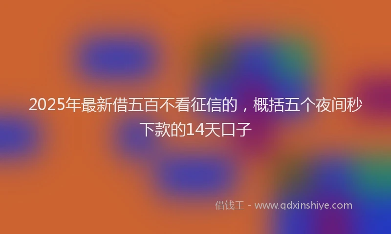 2025年最新借五百不看征信的，概括五个夜间秒下款的14天口子