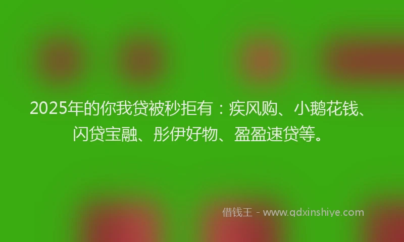 2025年的你我贷被秒拒有：疾风购、小鹅花钱、闪贷宝融、彤伊好物、盈盈速贷等。